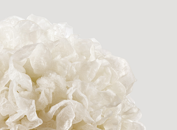 Tremella