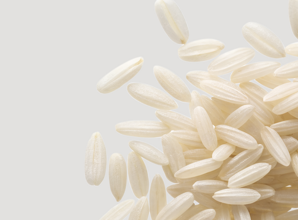 Rice Extract