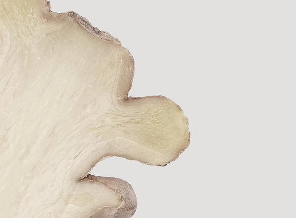 SymRelief Bisabolol & Ginger Root Extract